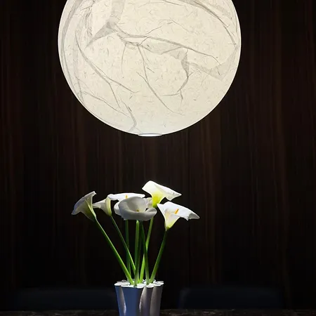 Shangrilux Private Appartement Orbassano